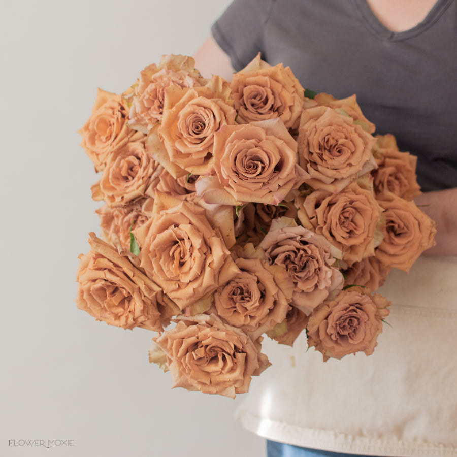 Mini Roses Tofee Tan Toffee Roses | Bulk Fresh DIY Wedding Flowers | Flower Moxie