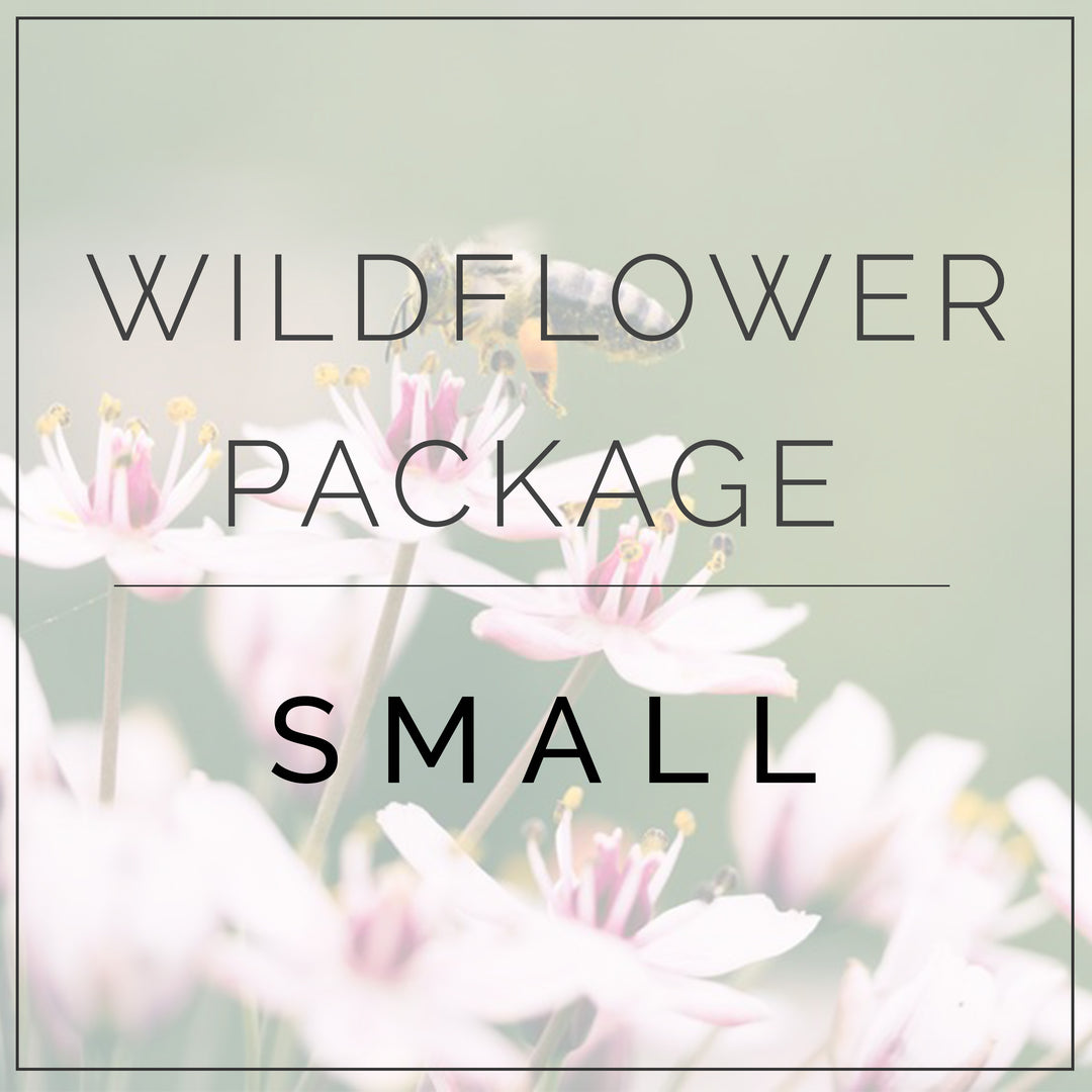Wildflower Small Package | DIY Wedding Flower Kit | Flower Moxie