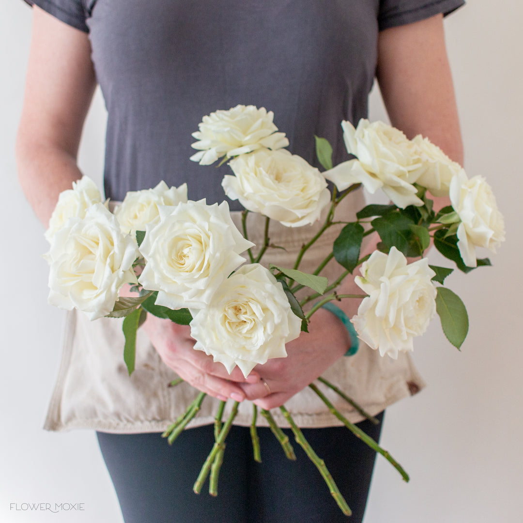 Alabaster Garden Roses DIY Wedding Flowers Flower Moxie