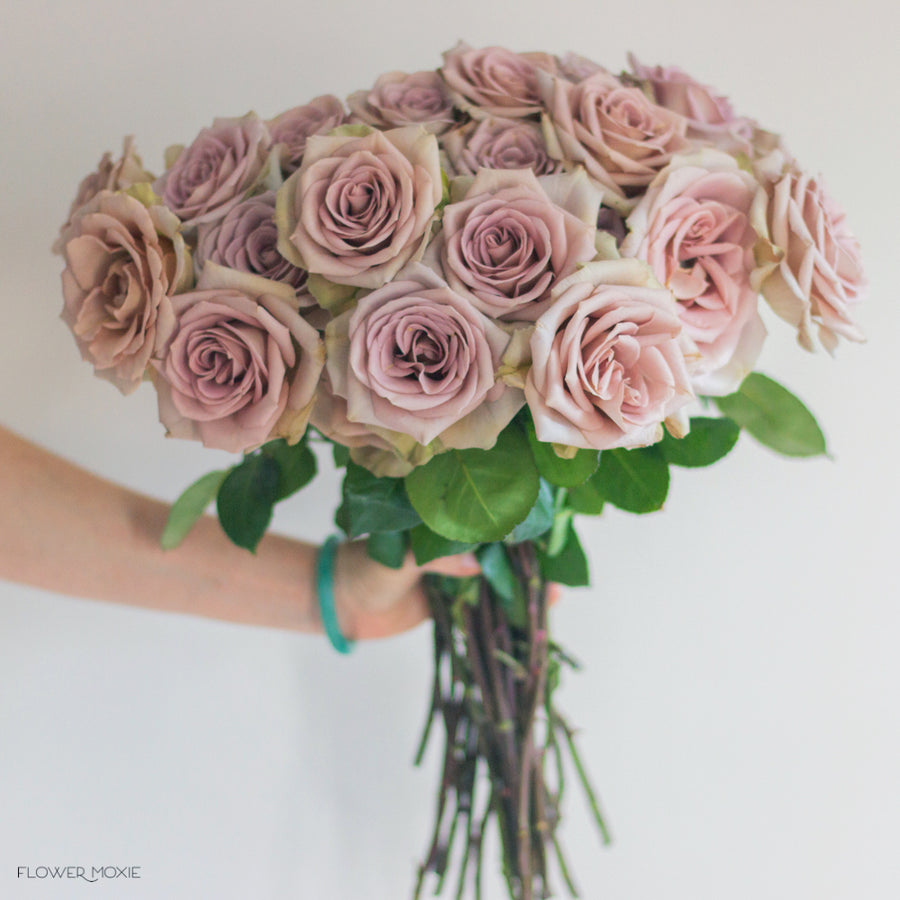 amnesia rose seeds Amnesia Lavender Roses | DIY Wedding Flowers | Flower Moxie 50 Stems