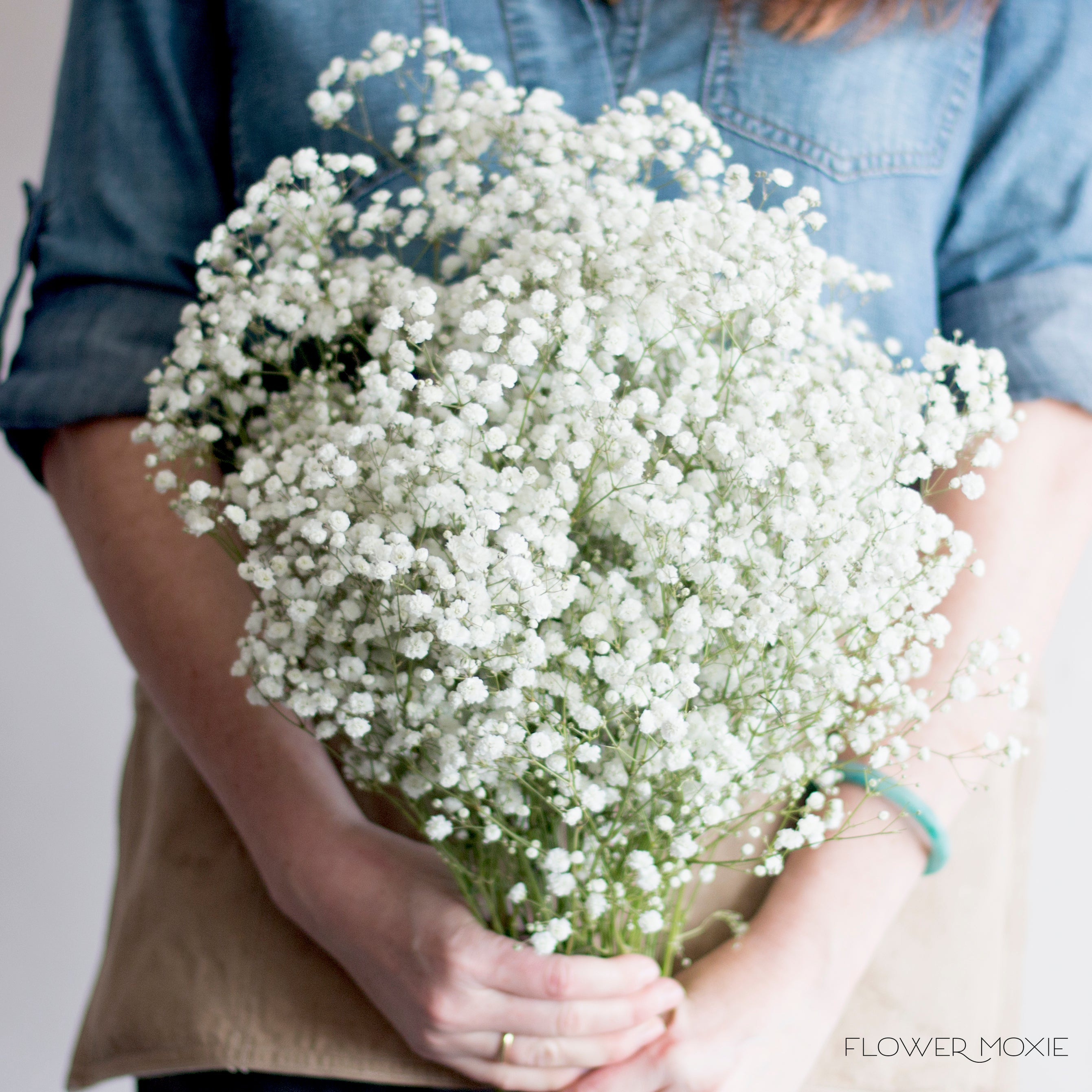 Fresh Baby's Breath Flower | DIY Wedding Flowers | Flower Moxie
