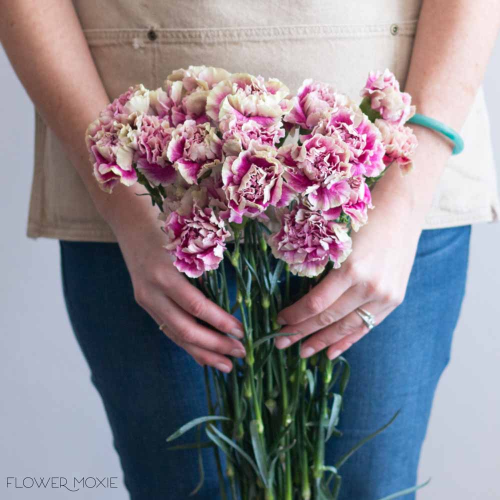 Bulk Pink Baby's Breath | DIY Wedding Flowers - Moxie Blooms