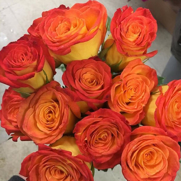 Orange Circus Roses | Fresh Diy Wedding Flowers | Flower Moxie
