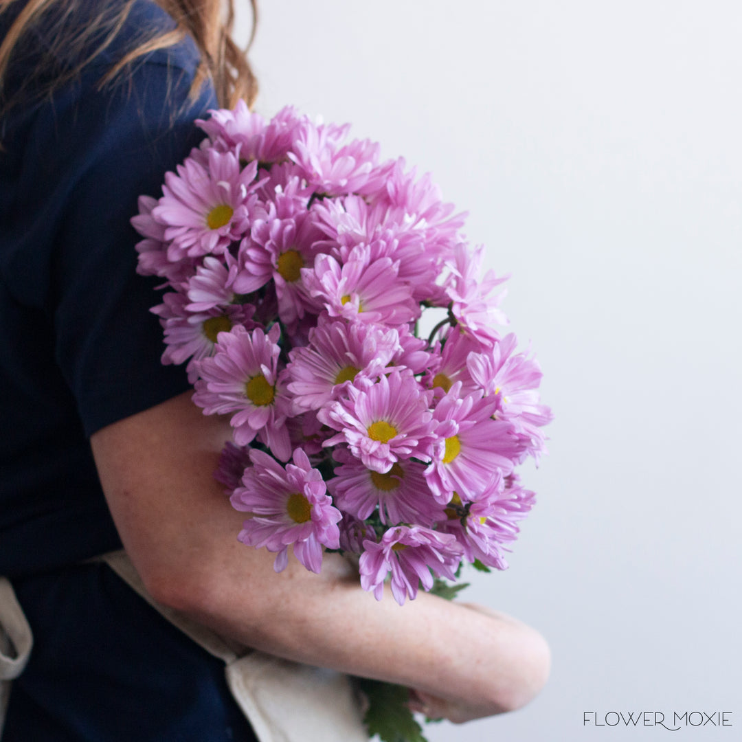 purple lavender daisy flower Lavender Daisy Pom Flower | DIY Wedding Flowers