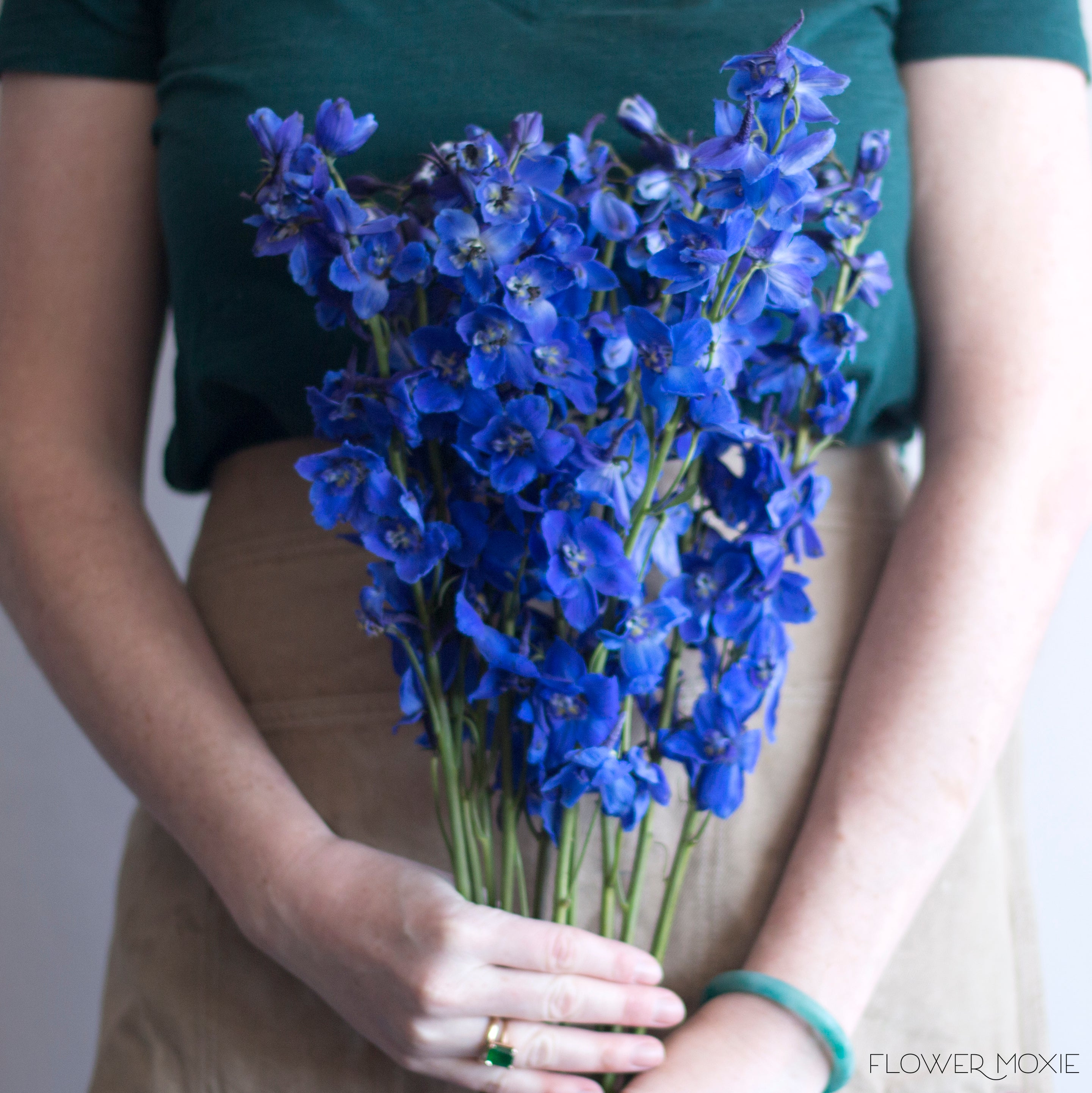 Orange Flowers  Bulk Fresh Flowers for DIY Brides – Flower Moxie