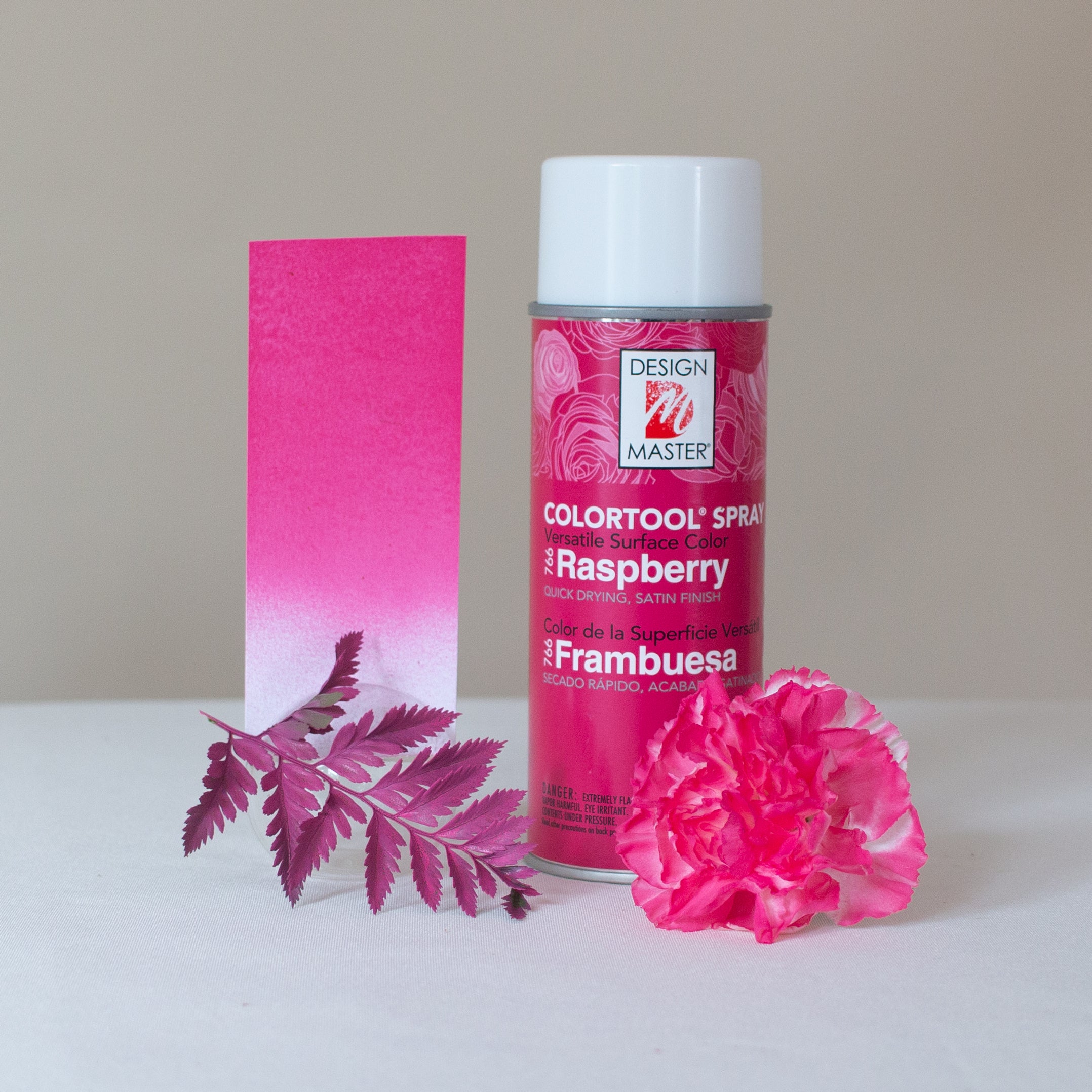 Raspberry Design Master Colortool Floral Spray Paint