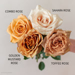 brown toffee rose golden combo rose beige sahara rose golden mustard rose