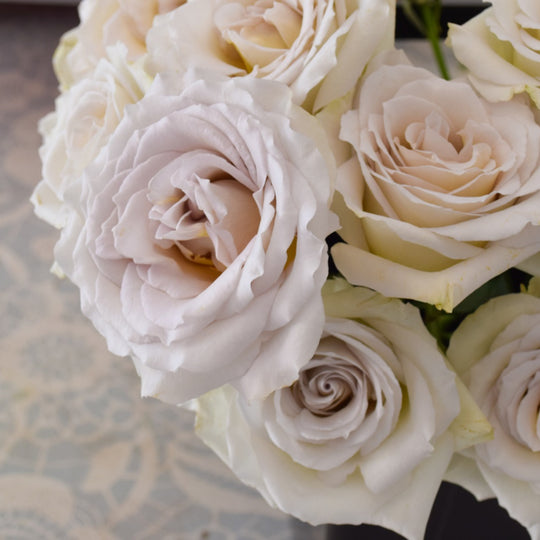 Early Grey Roses | Bulk Fresh DIY Wedding Flowers | Flower Moxie