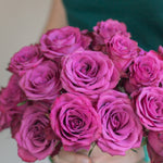 Blueberry Purple Roses