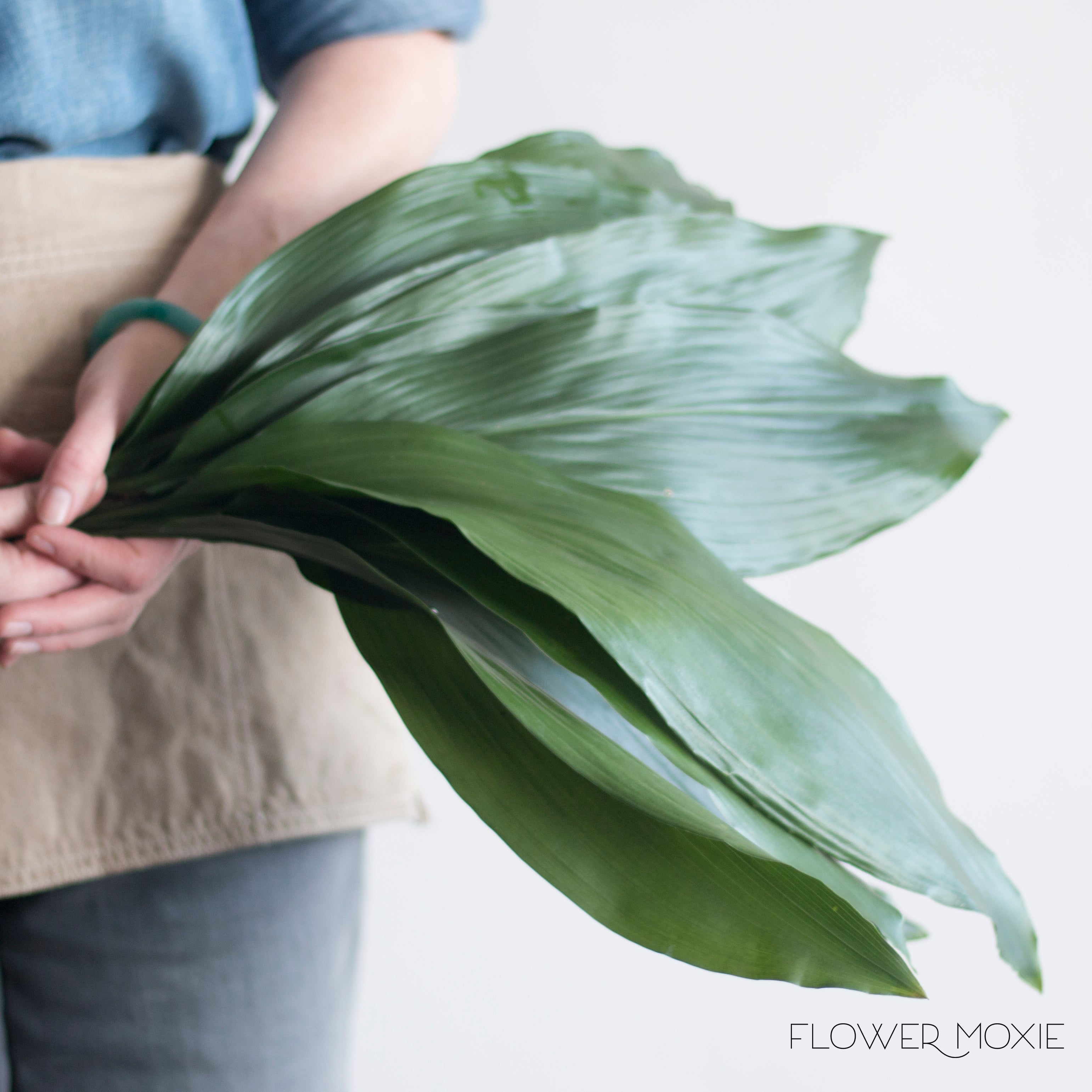 Palm leaves floral Leggings – Bohozena