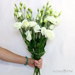 White Lisianthus Flowers