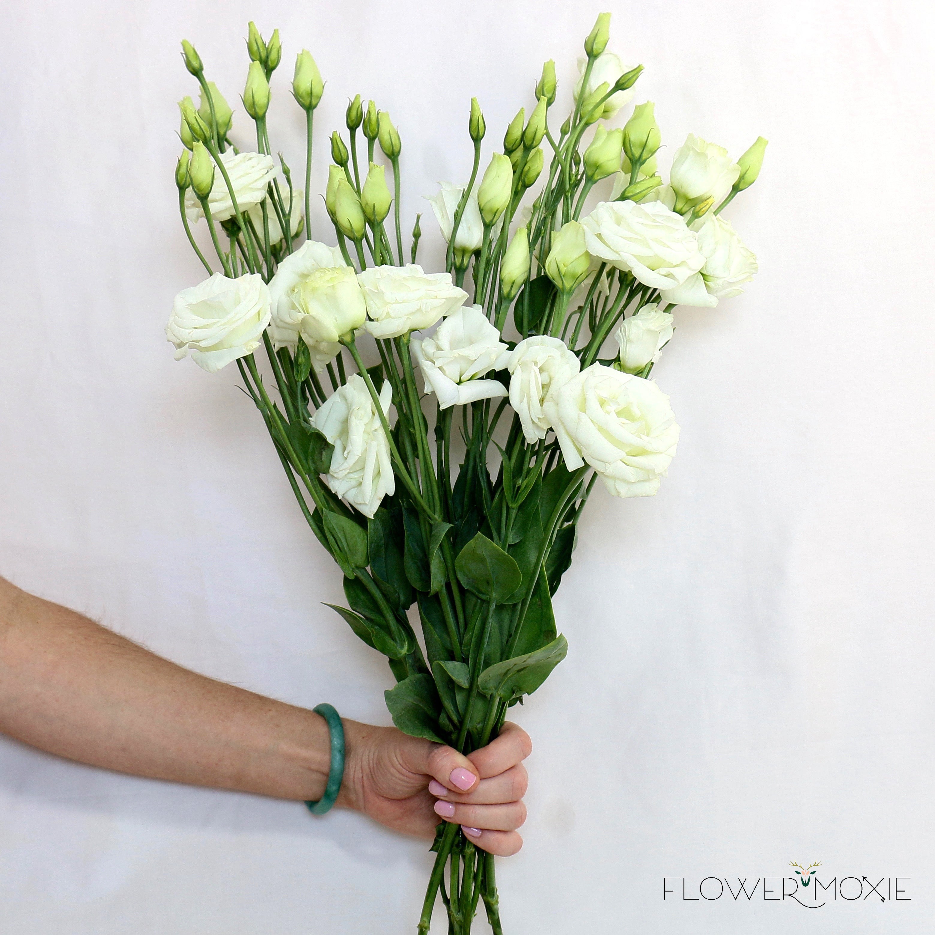 Lisianthus Flowers, Bulk Fresh Wedding Flowers Online