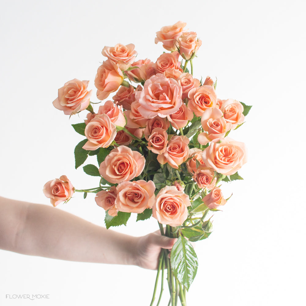 Spra Roses Peach Spray Rose Flower | DIY Wedding Flowers | Flower Moxie