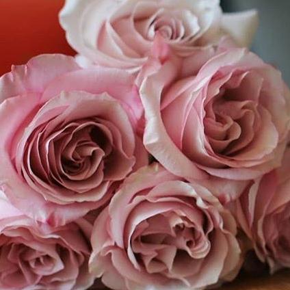 Pink Secret Garden Roses, DIY Wedding Flowers