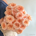 Shimmer Peach Roses