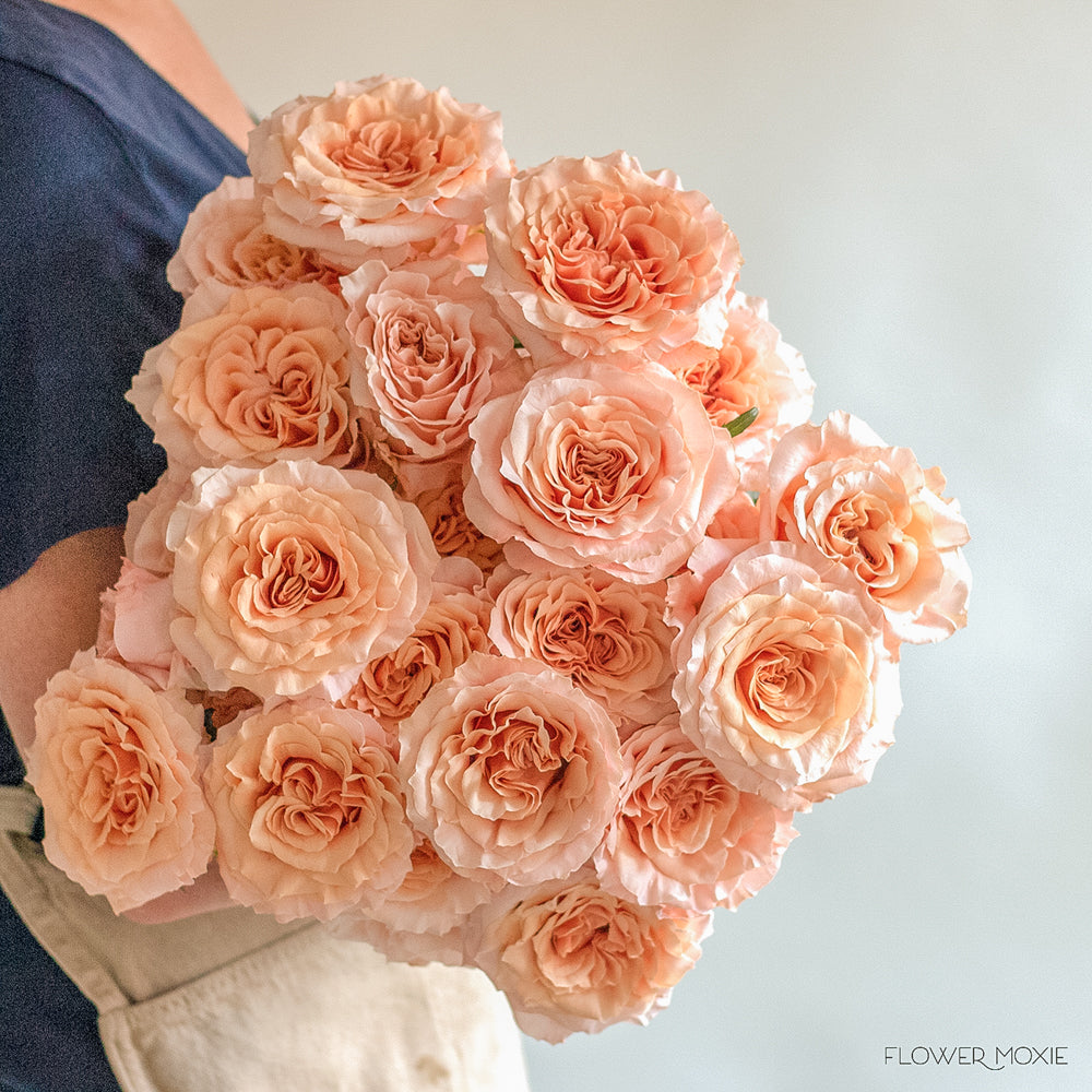 Peach Colored Roses At Last® Rose