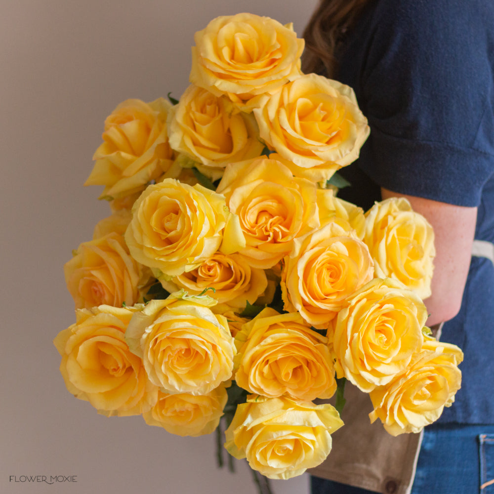 Deja Vu Yellow Roses