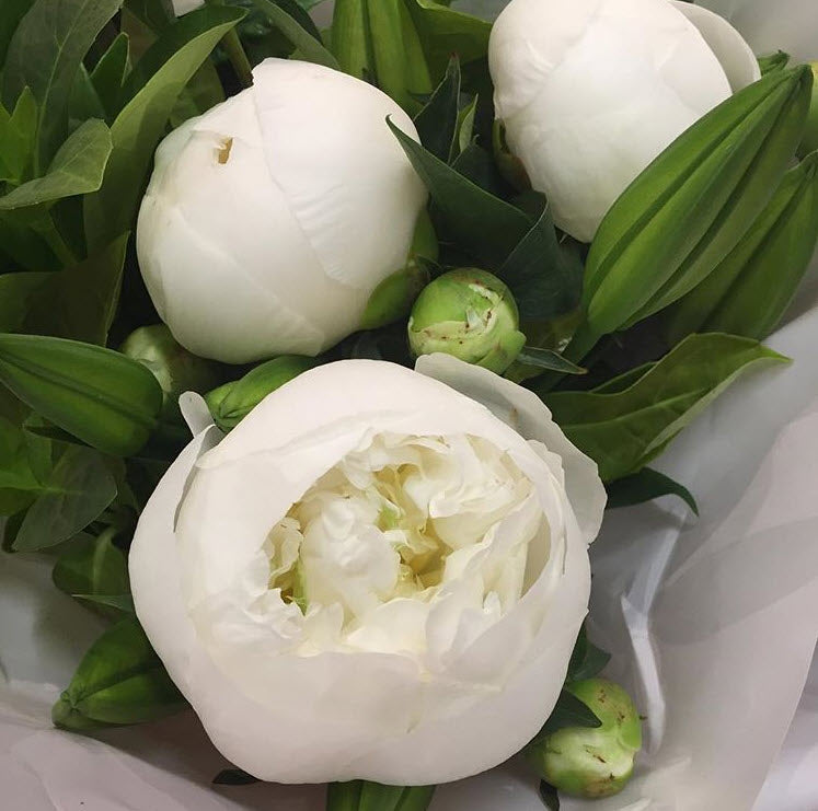 White deals peonies bouquet